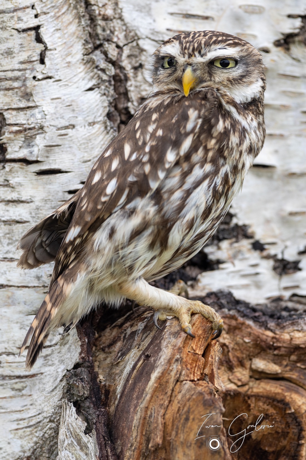 25 juni 2022 132259 1R2A0040